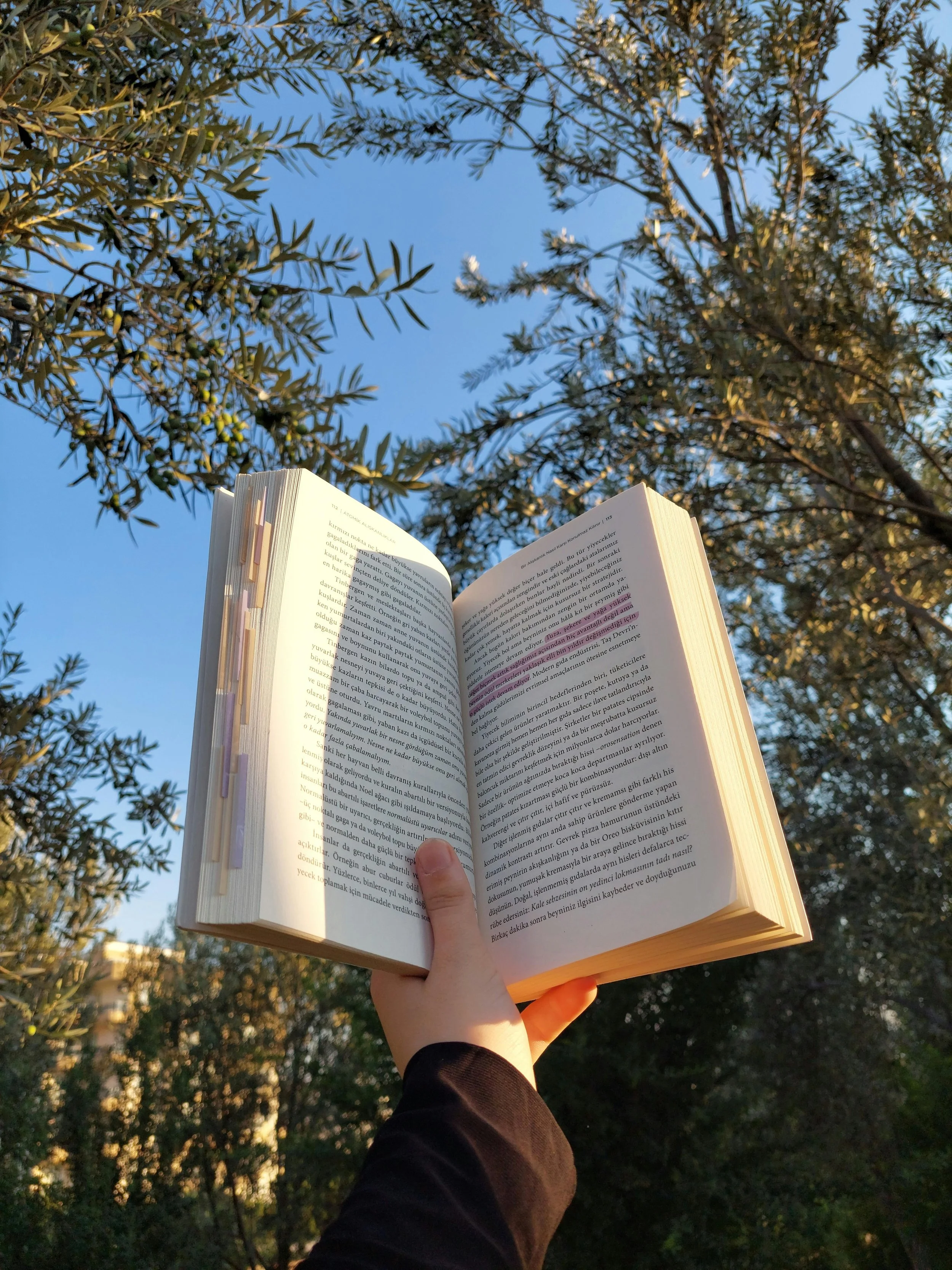 The Art of Sharing Your Story