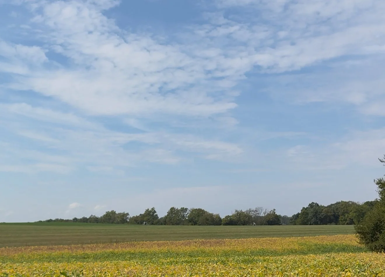 An Invitation to Begin Again