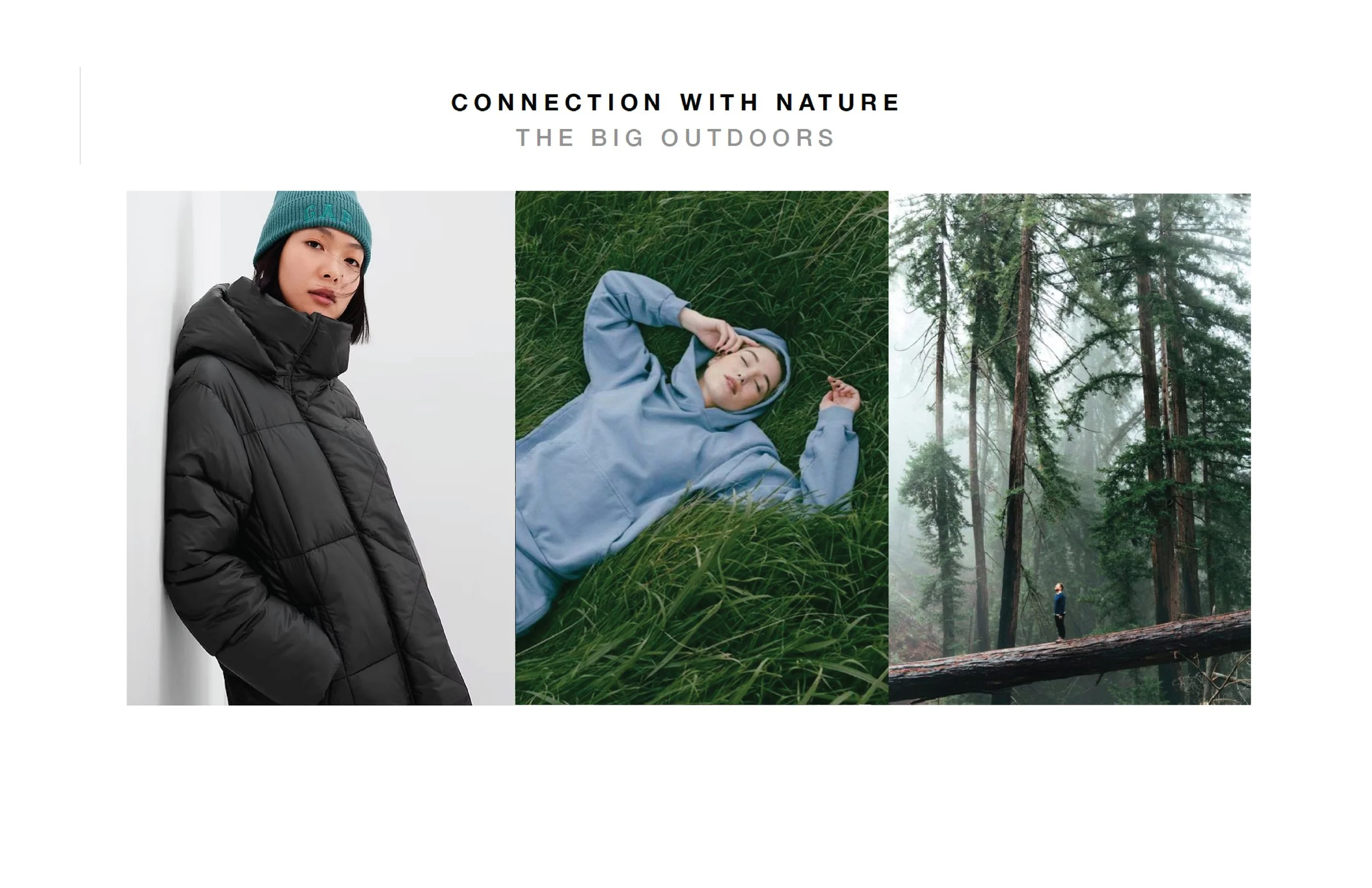 Gap Fall Boards Portfolio-06.jpg