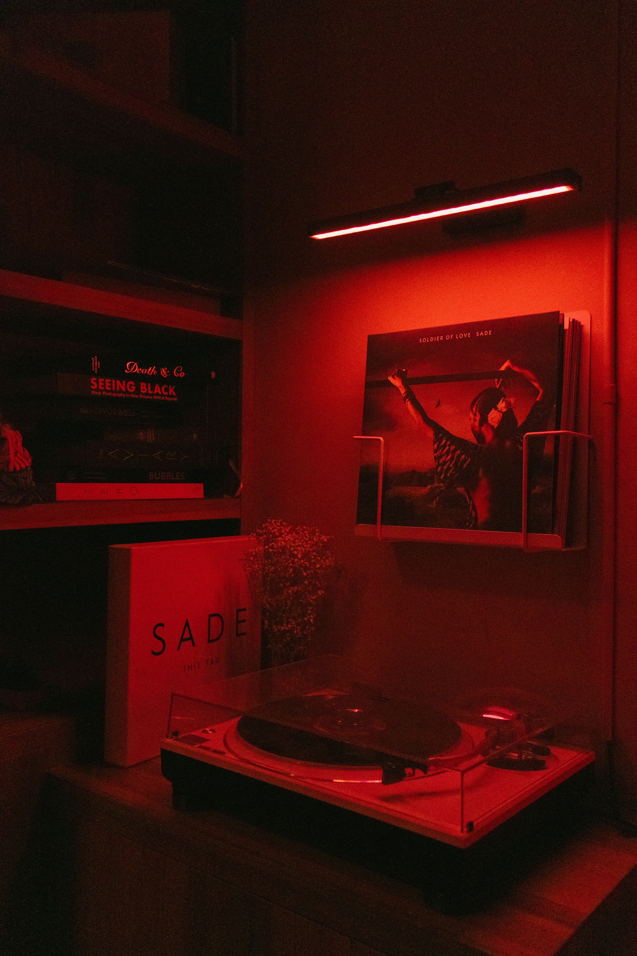 VINO & VINYL: SPRING EQUINOX EDITION