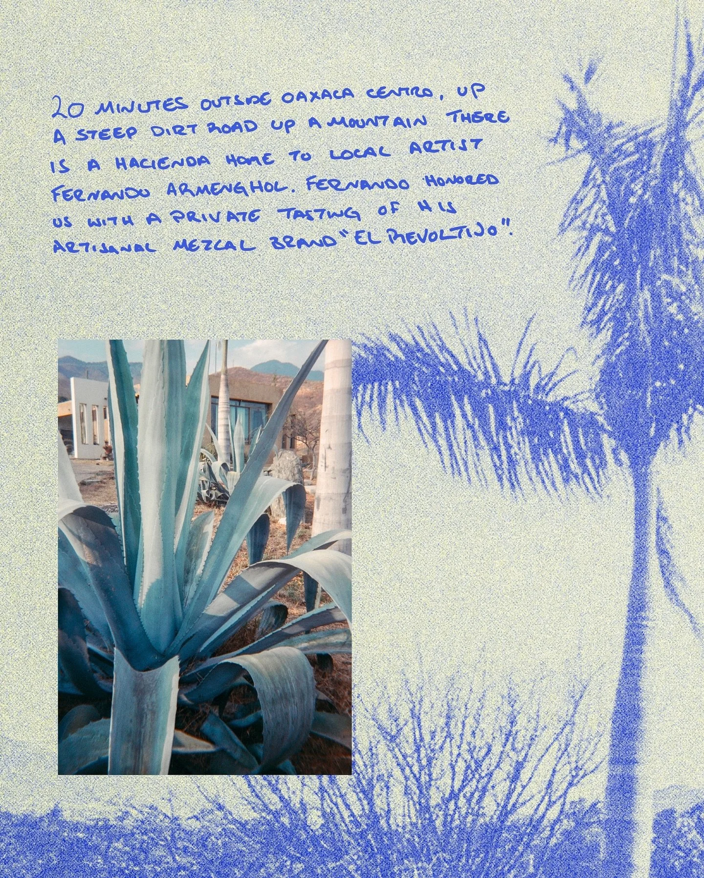 This spring, Asia Lee Moore &ndash; NightBloom&rsquo;s Bar Lead &ndash; took a trip to&nbsp;Santiago Matatl&aacute;n, Oaxaca to visit the Don Isaac Distillery &ndash; source provider for El Buho&rsquo;s Espadin mezcal.

Owned and operated by the Jime