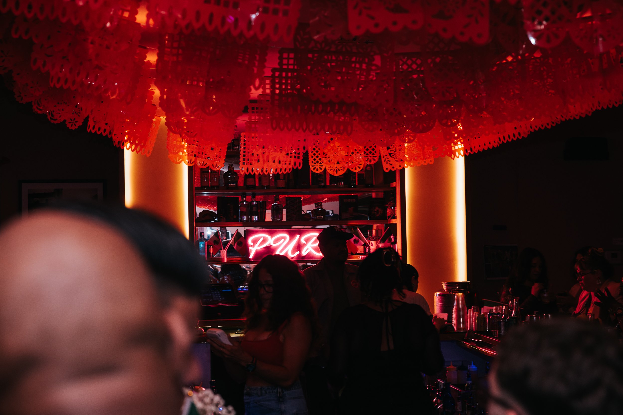 Nightbloom_ PURO VIVA-37.jpg