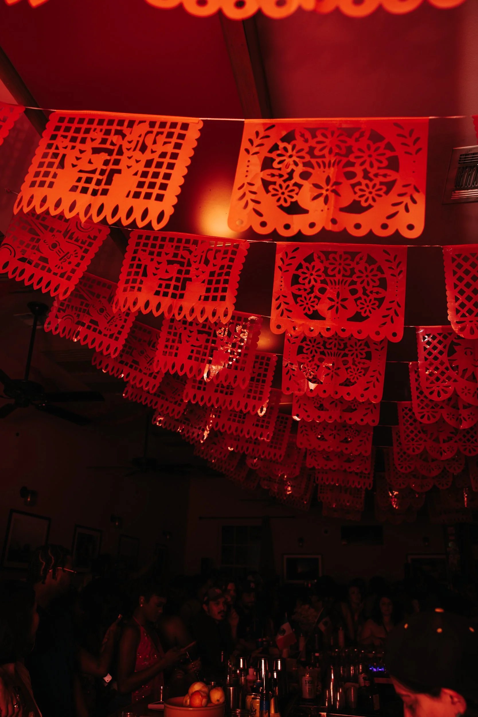 Nightbloom_ PURO VIVA-225.jpg