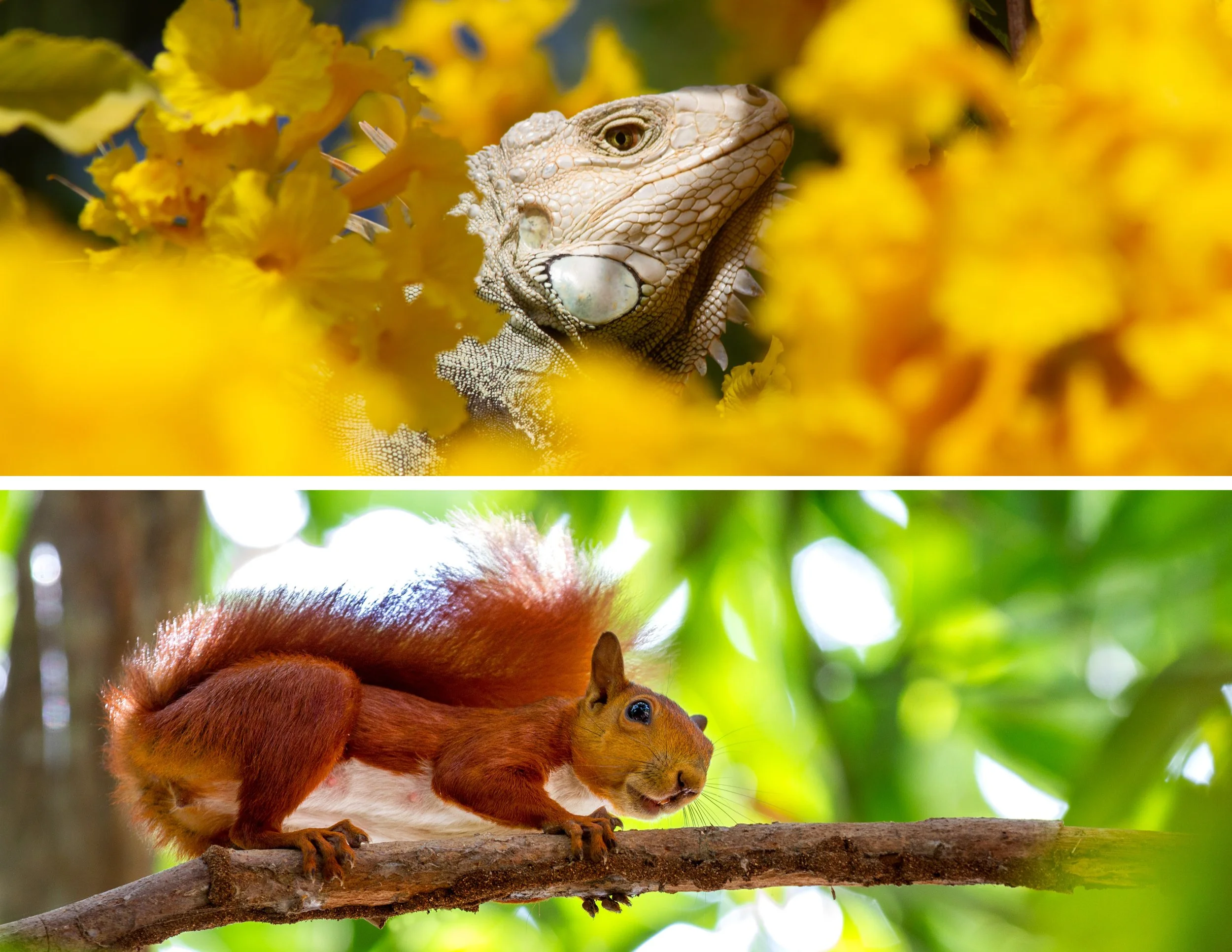 Nature.jpg