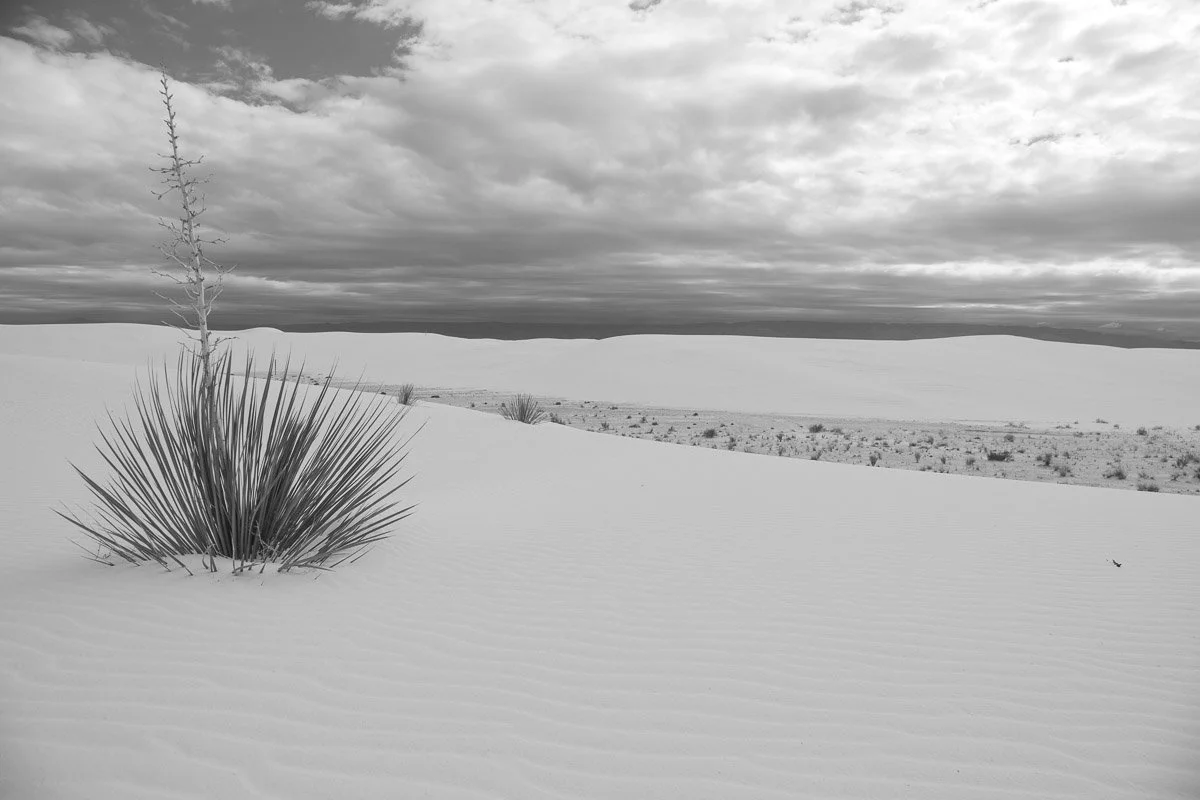 202203_htc_NM_B&W-14.jpg