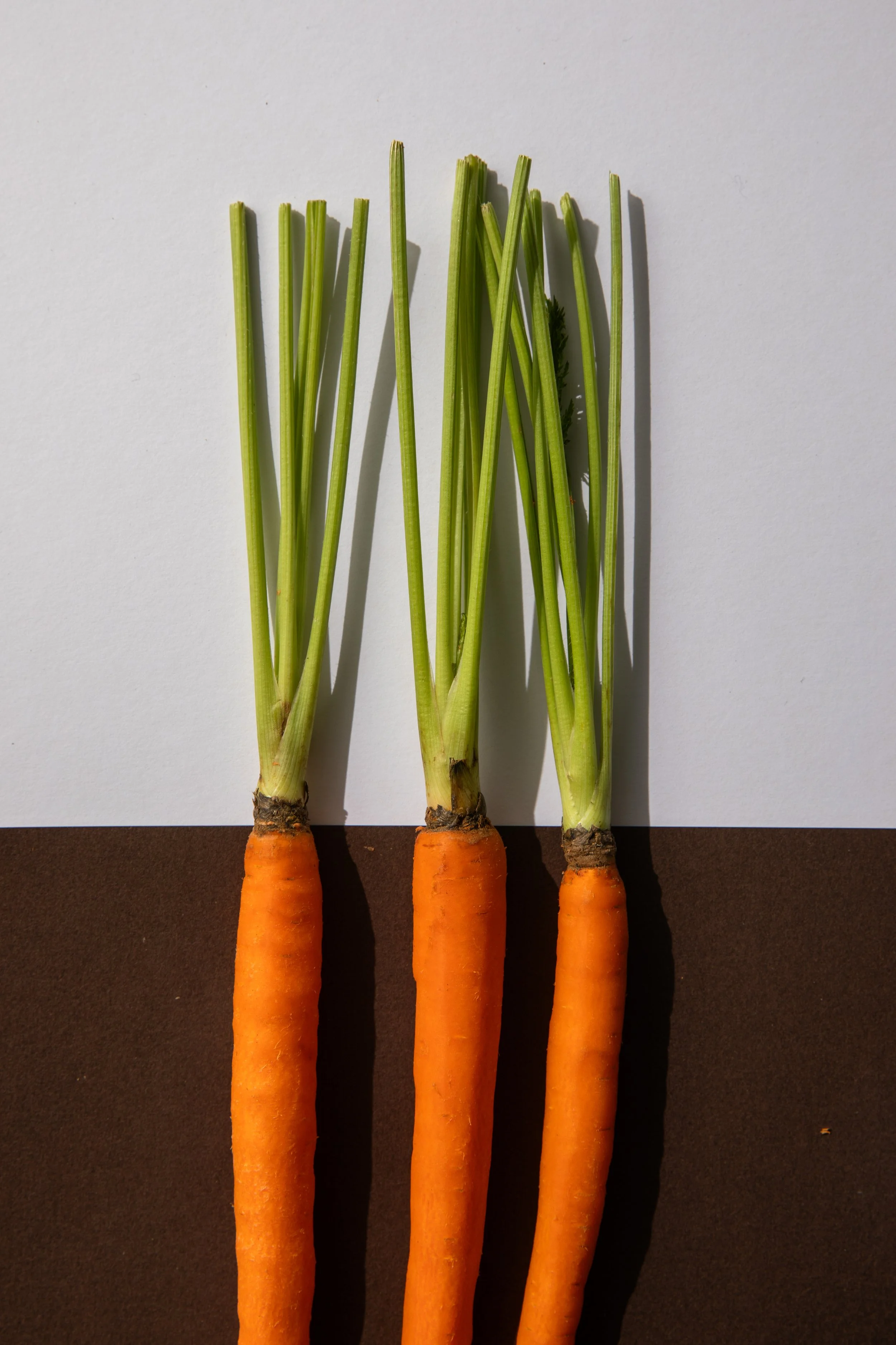 VEG_CARY_CARROTTSEP2023-1-2.jpg