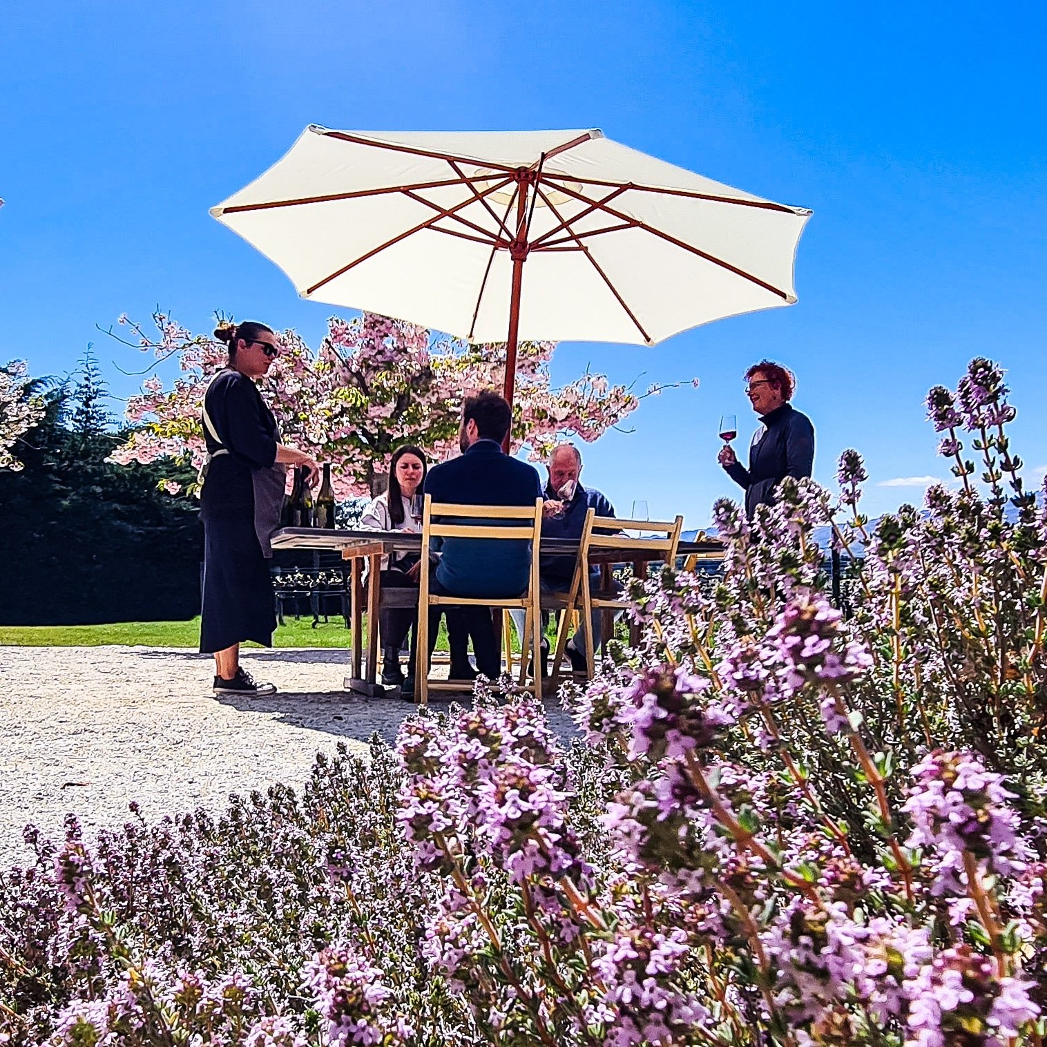 Group of people enjoying an outdoor meal under a large white umbrella surrounded by flowering plants and a clear blue sky. https://www.centralotago.co.nz/