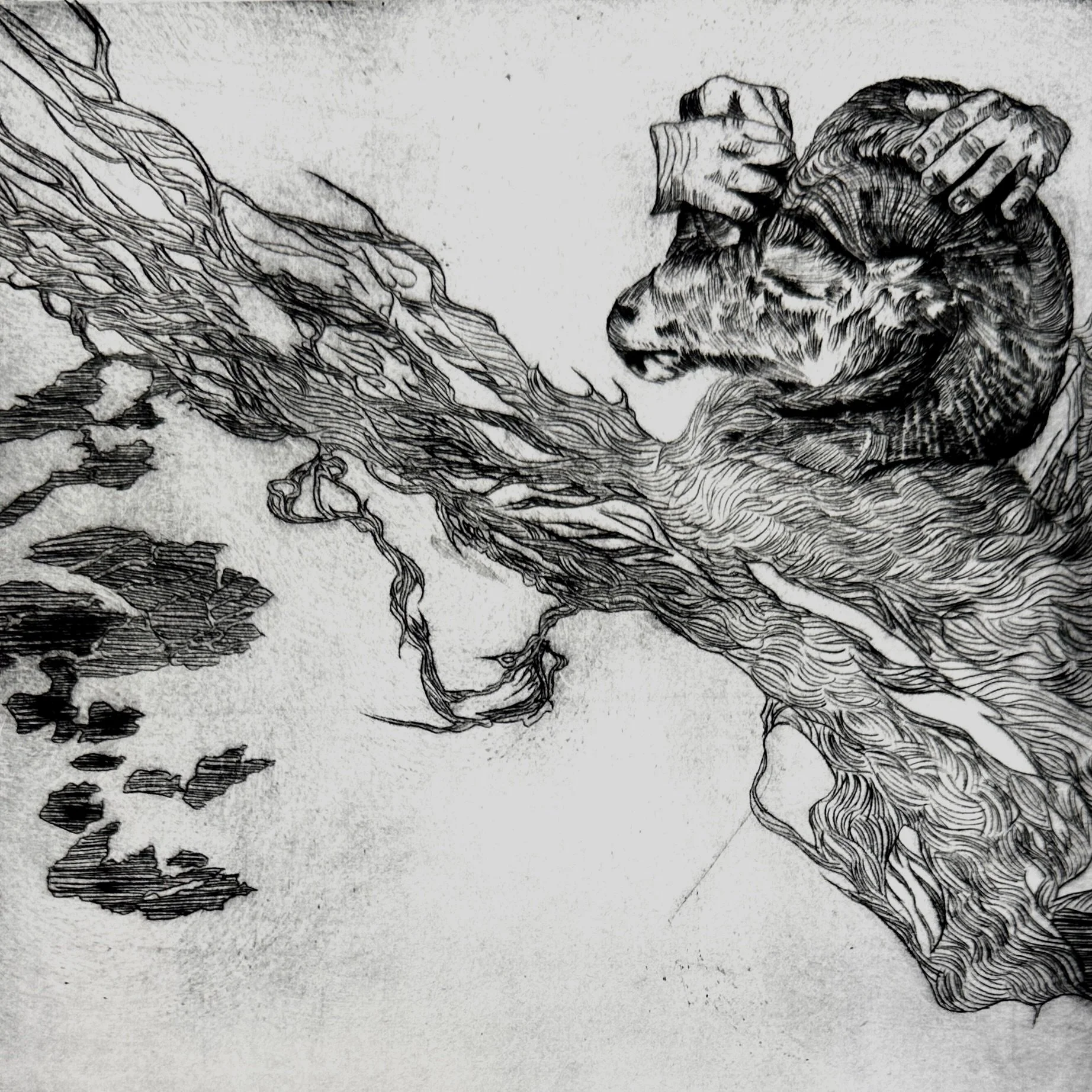 "The Hunt II"
Drypoint on Cotton Paper
2/15
2011