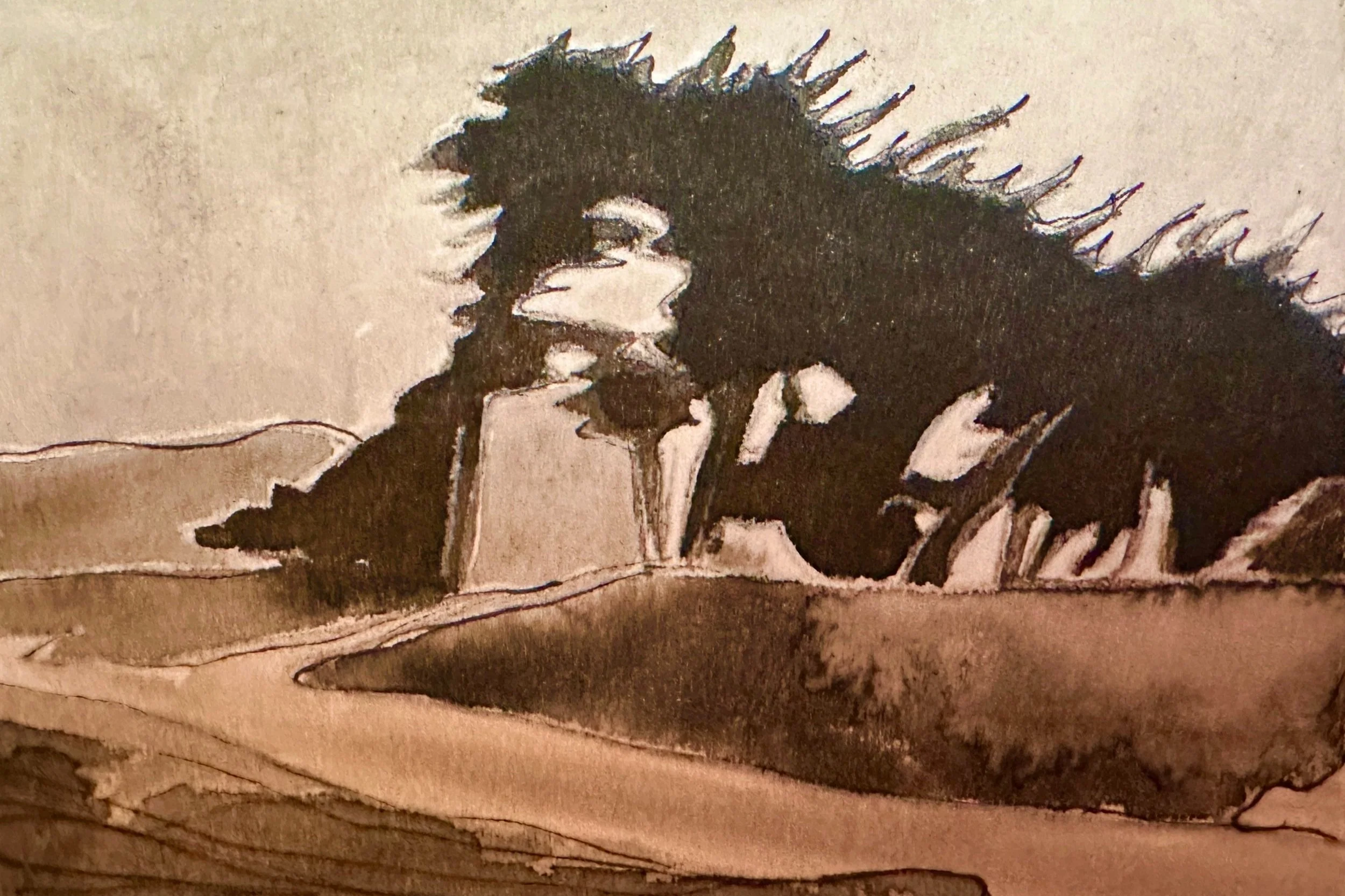 "Cypress Grove"
Ink on Cotton Paper
2024