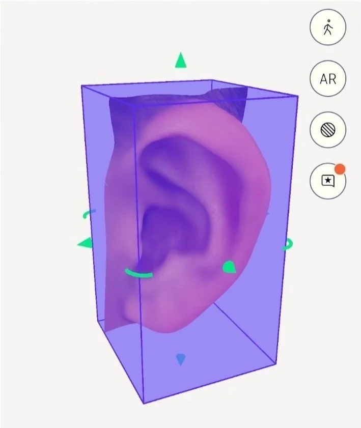 LiDAR scan of an ear a being refined and then exported to a slicer software