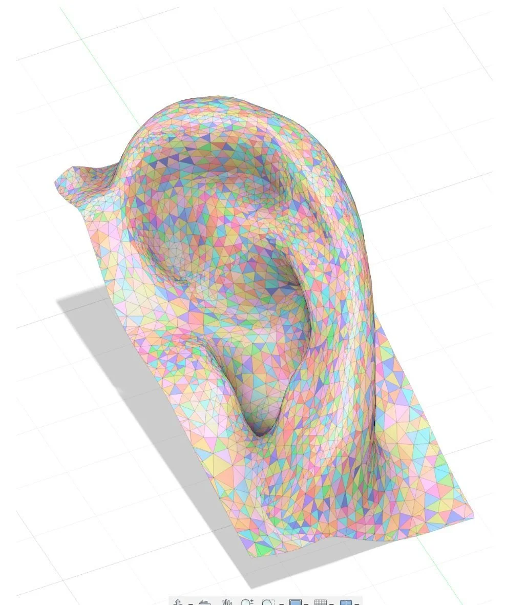 3D Geometric Model of an ear at Aurius