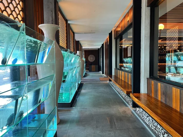Live Seafood Tanks: What They Are, How They Work &amp; Why Kids Love Them