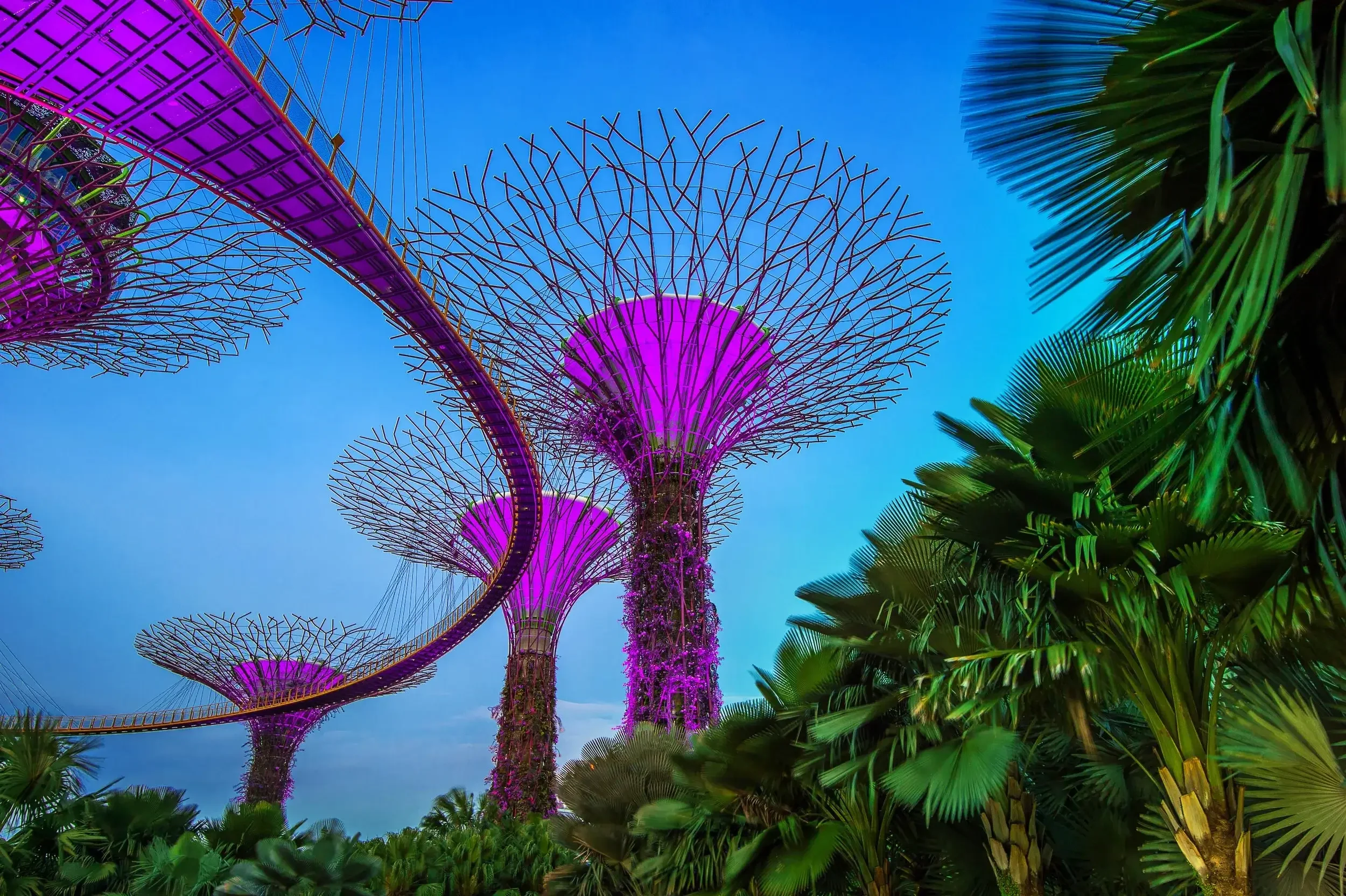 Singapore Food: A Diverse Journey Through the Lion City's Best Regional Flavors