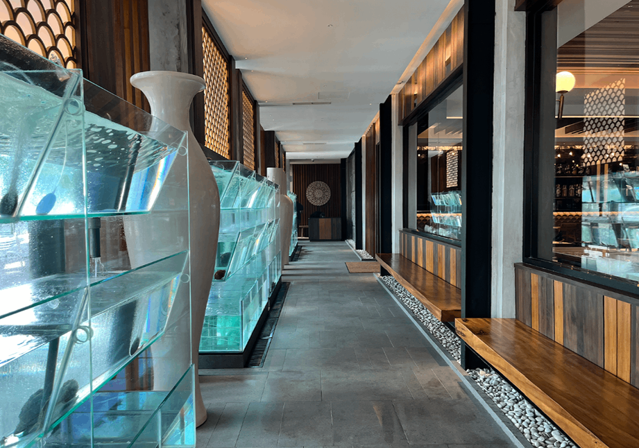 Empty corridor in a modern restaurant or hotel with glass aquariums displaying water and aquatic plants on the left, and wooden benches with black metal frames on the right, decorated with white pebbles underneath.