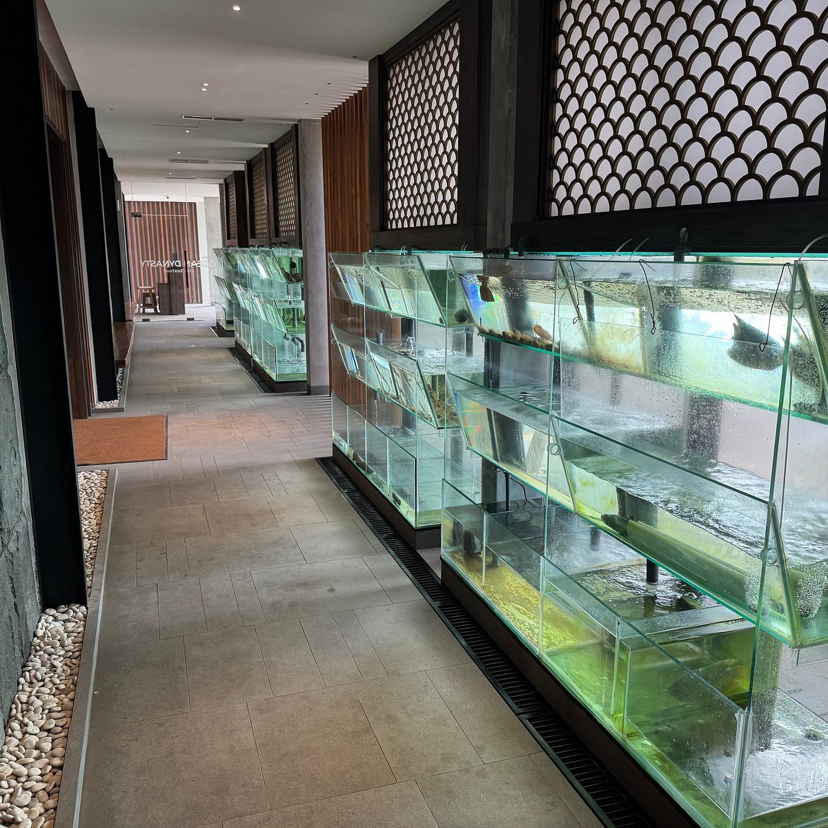 live seafood tank at ocean dynasty bali