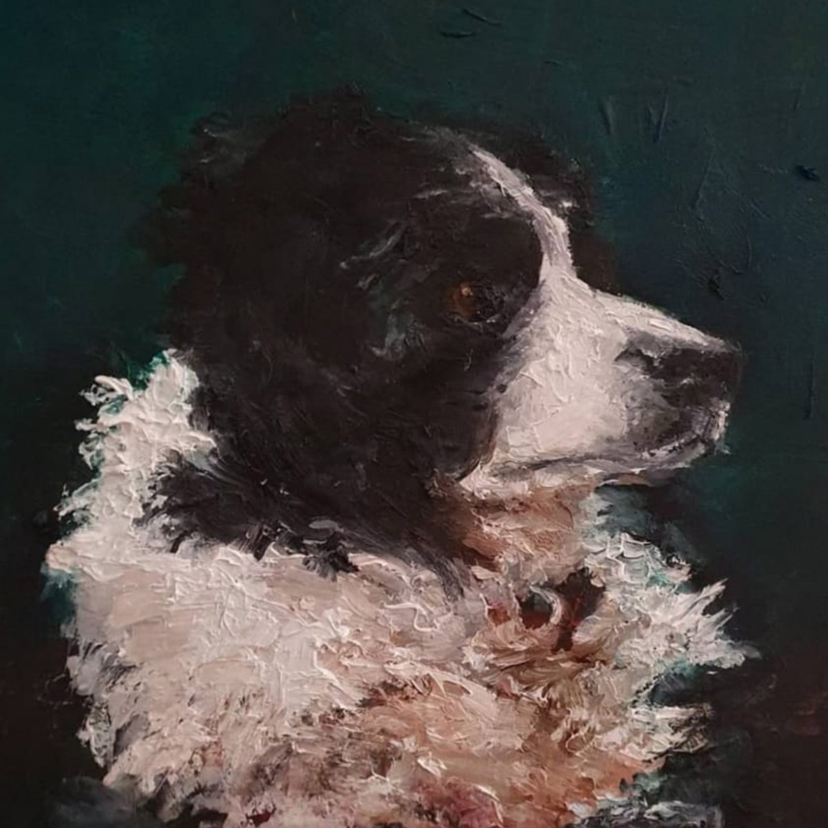 dog (3).jpg