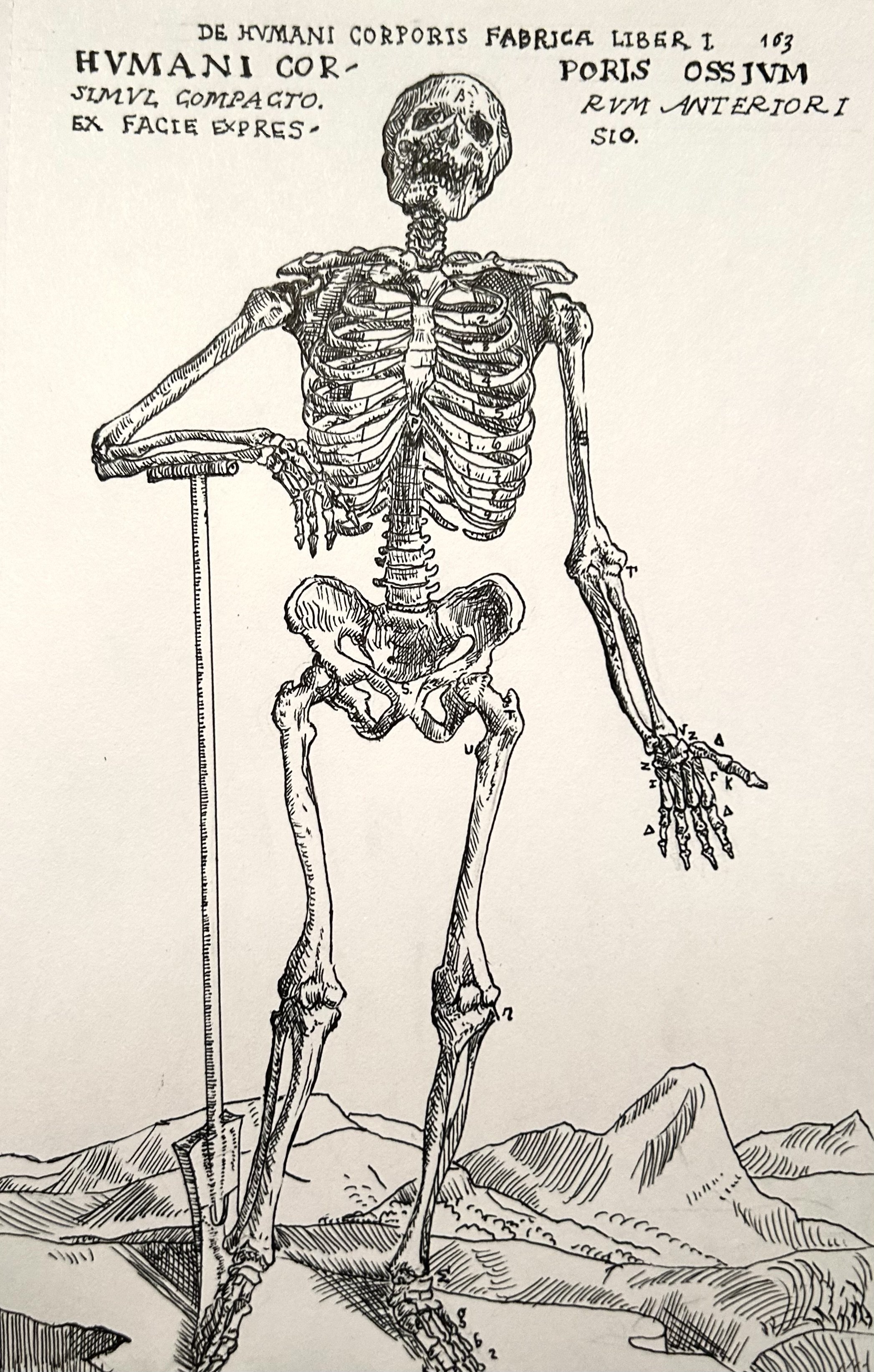 Humani.
Ink on paper-
5,5" x 8"