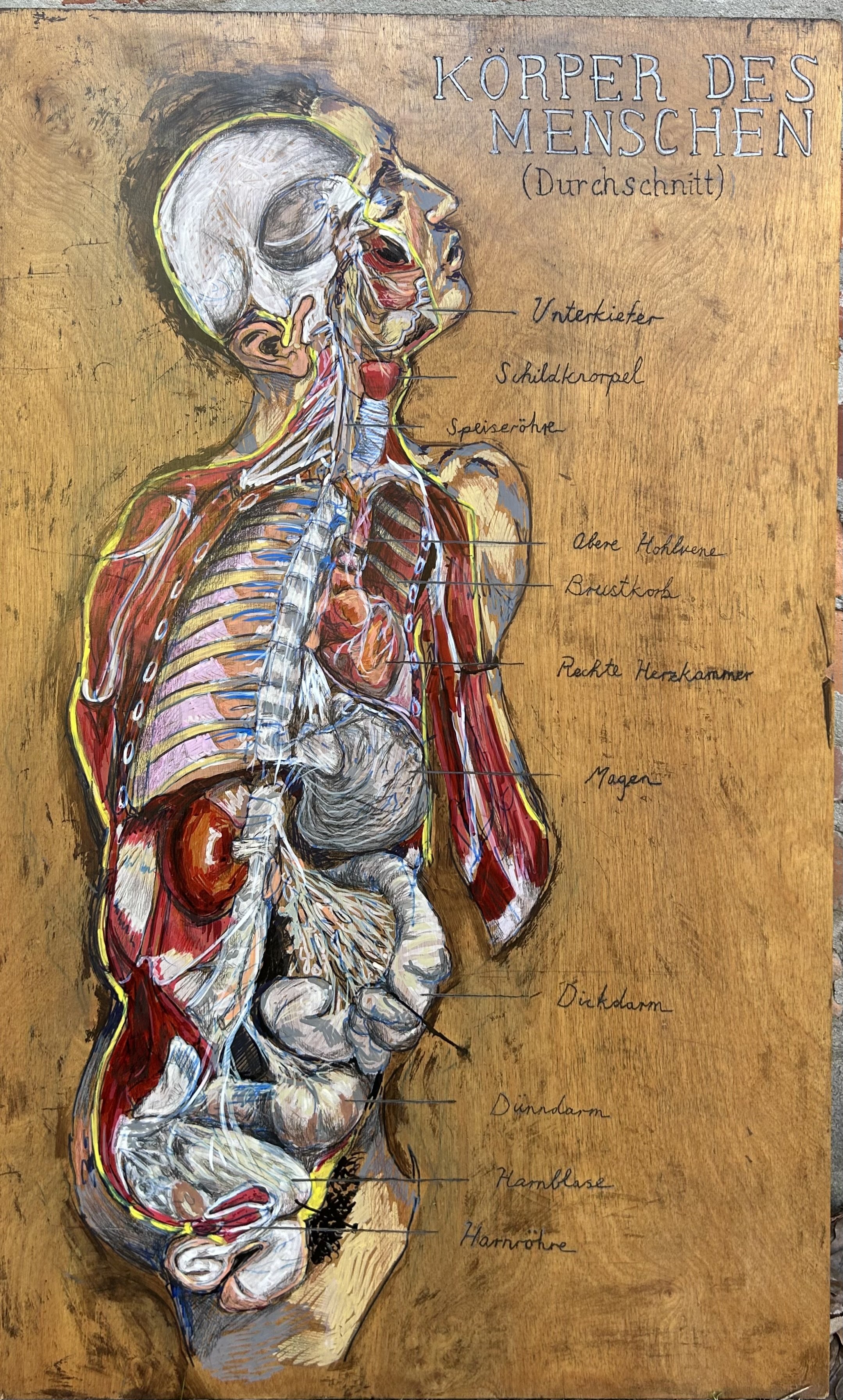Durchschnitt.
Acrylic and pyrography on wood-
18" x 30"