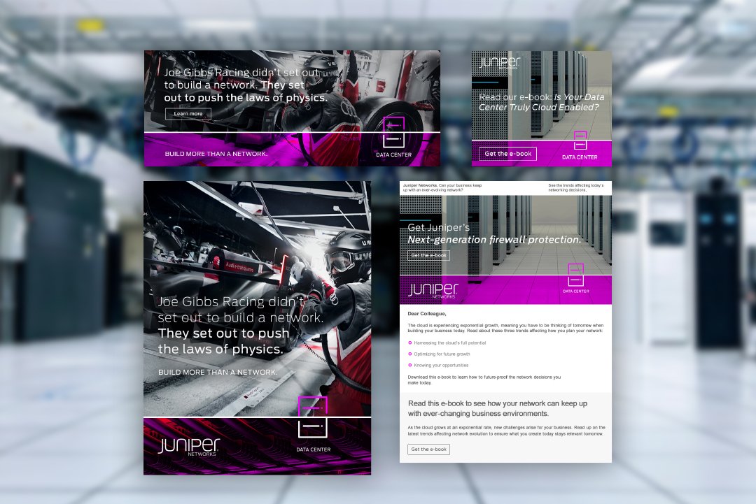 Juniper-2.jpg