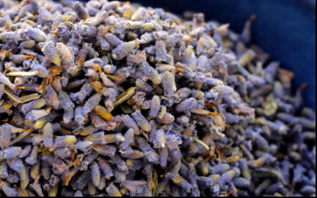 lavender-tea-mashiah-naturals2.png