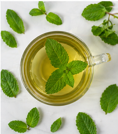 peppermint_3.png