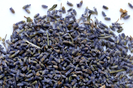 lavender-tea-mashiah-naturals1.png