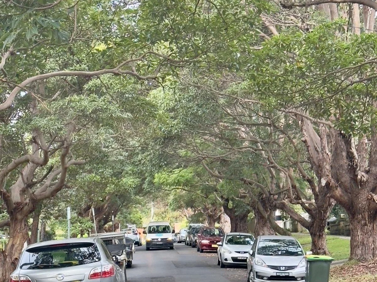 WhatsApp Image 2025-05-09 at 10.40.35.jpg