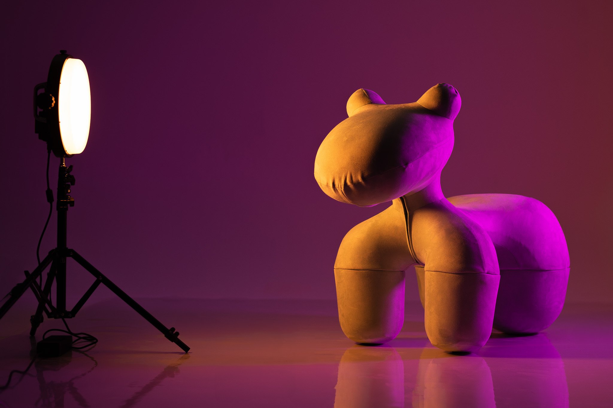 Picture of a pony chair in a professional photography studio in las vegas
