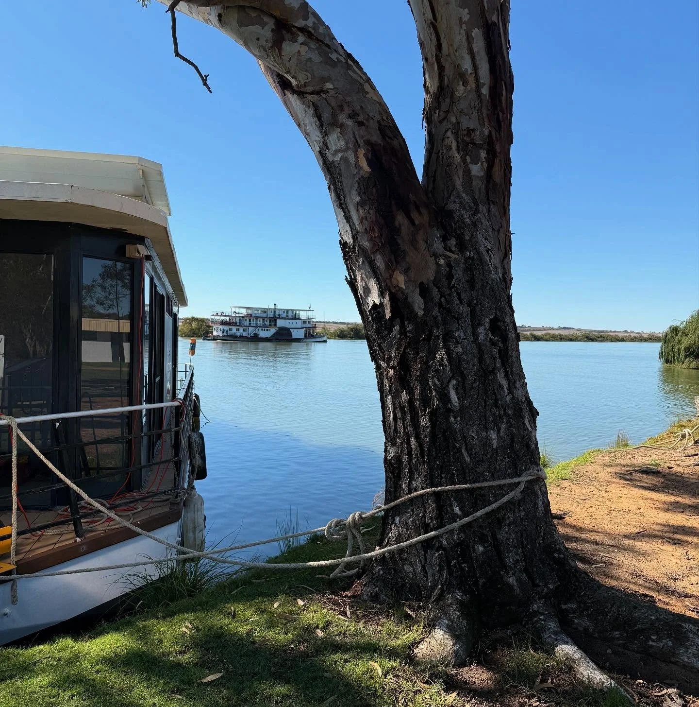 What a nice surprise to see an old paddle steamer go past while getting Gum Nut ready