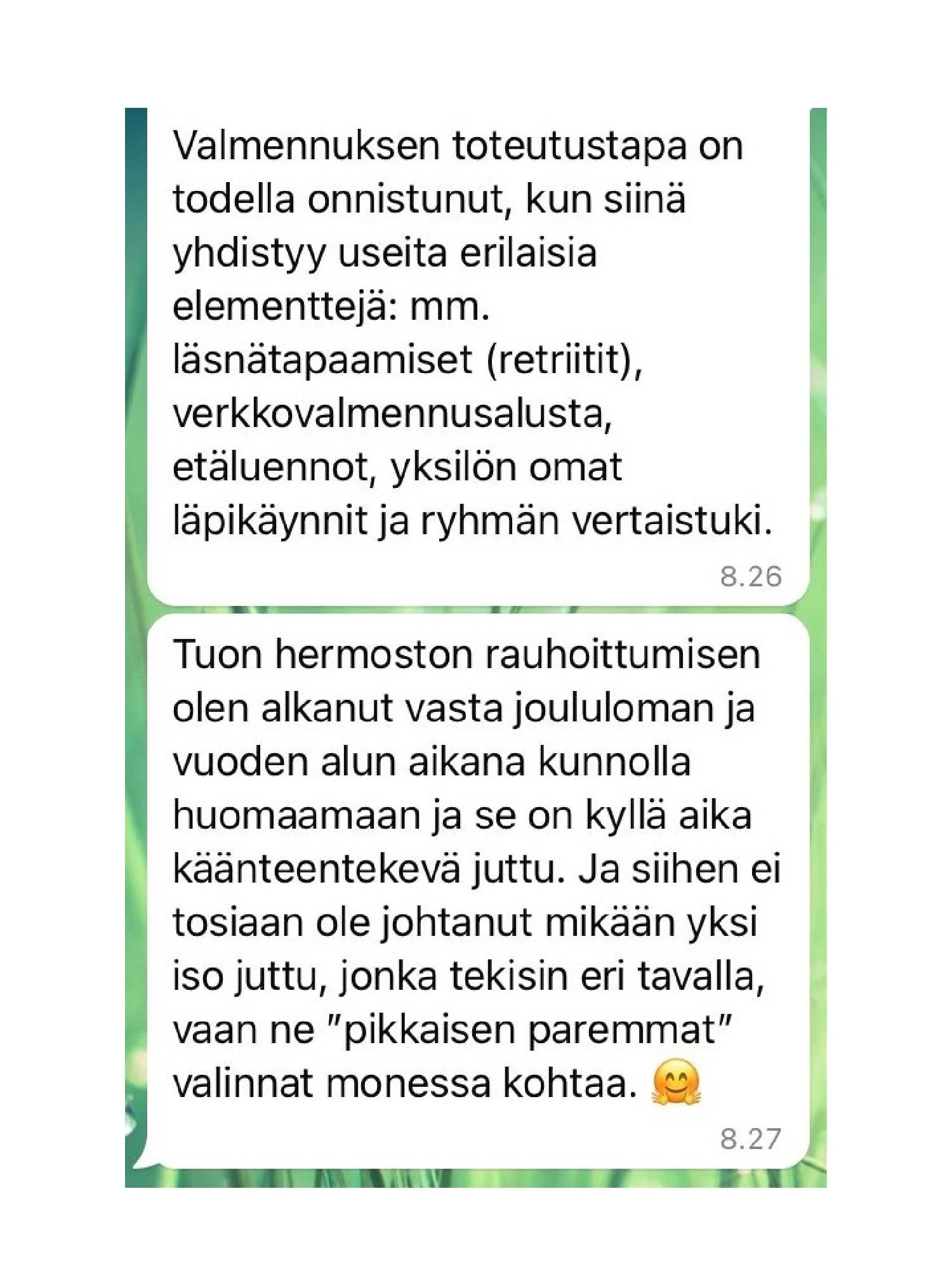 kaisa-jaakkola-kokemuksia-09.jpg