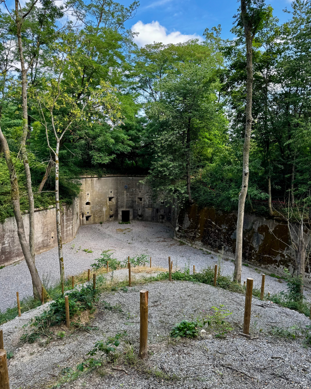Ancienne fortification en béton entourée d'arbres feuillus, avec des ouvertures dans le mur et un sol en gravier