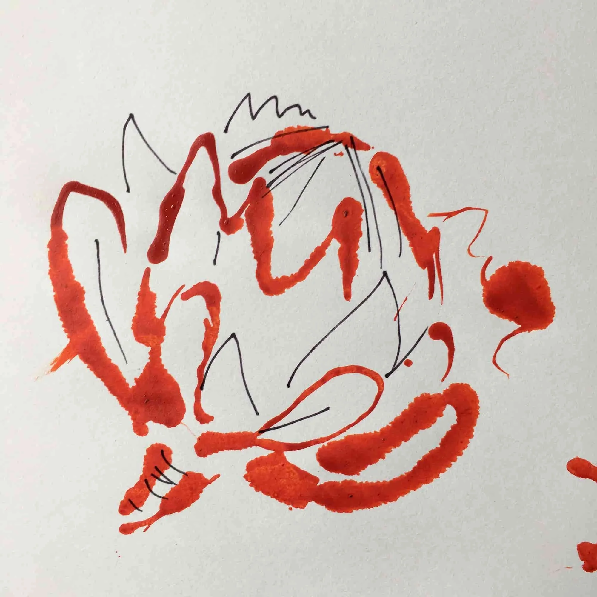 protea1.jpg