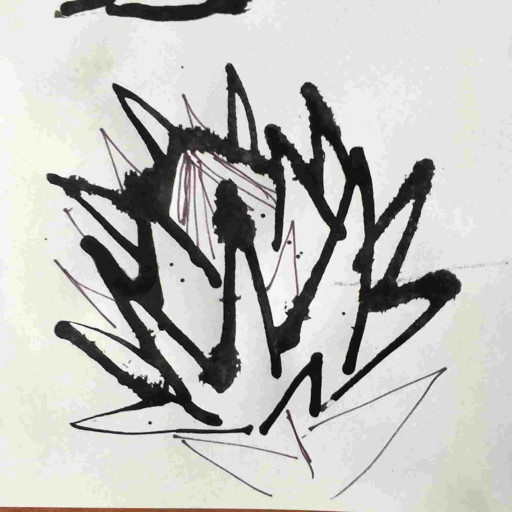 protea3.jpg