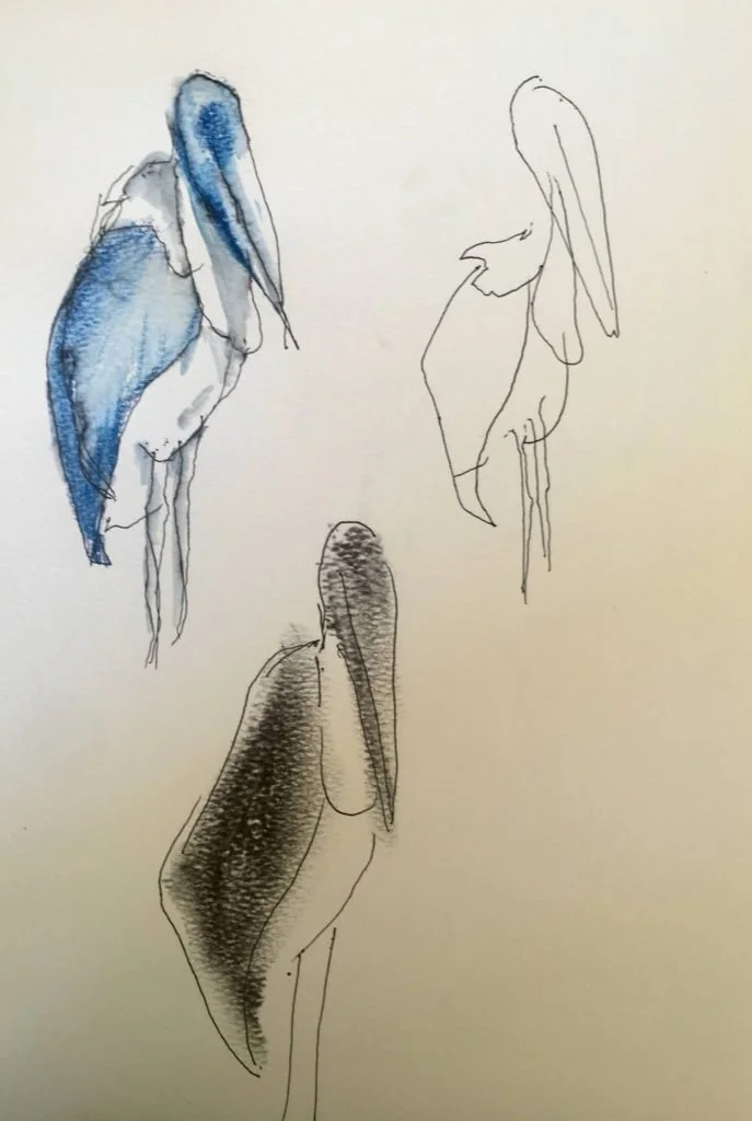 storks4-wr-687x1024.jpg