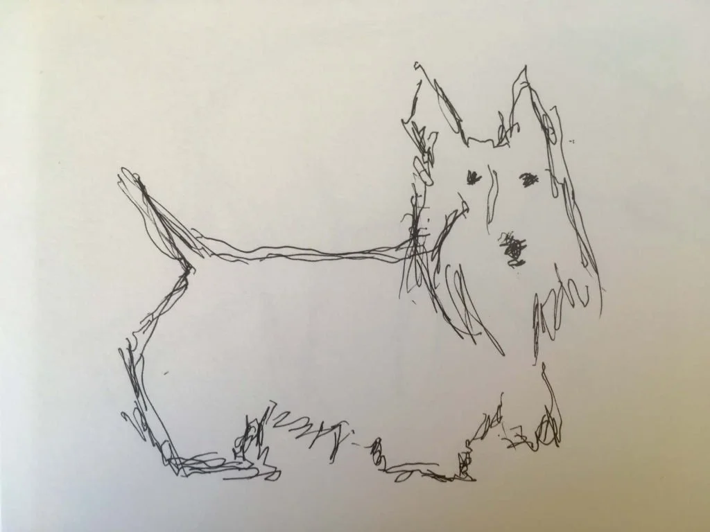 dog2-wr-1024x768.jpg