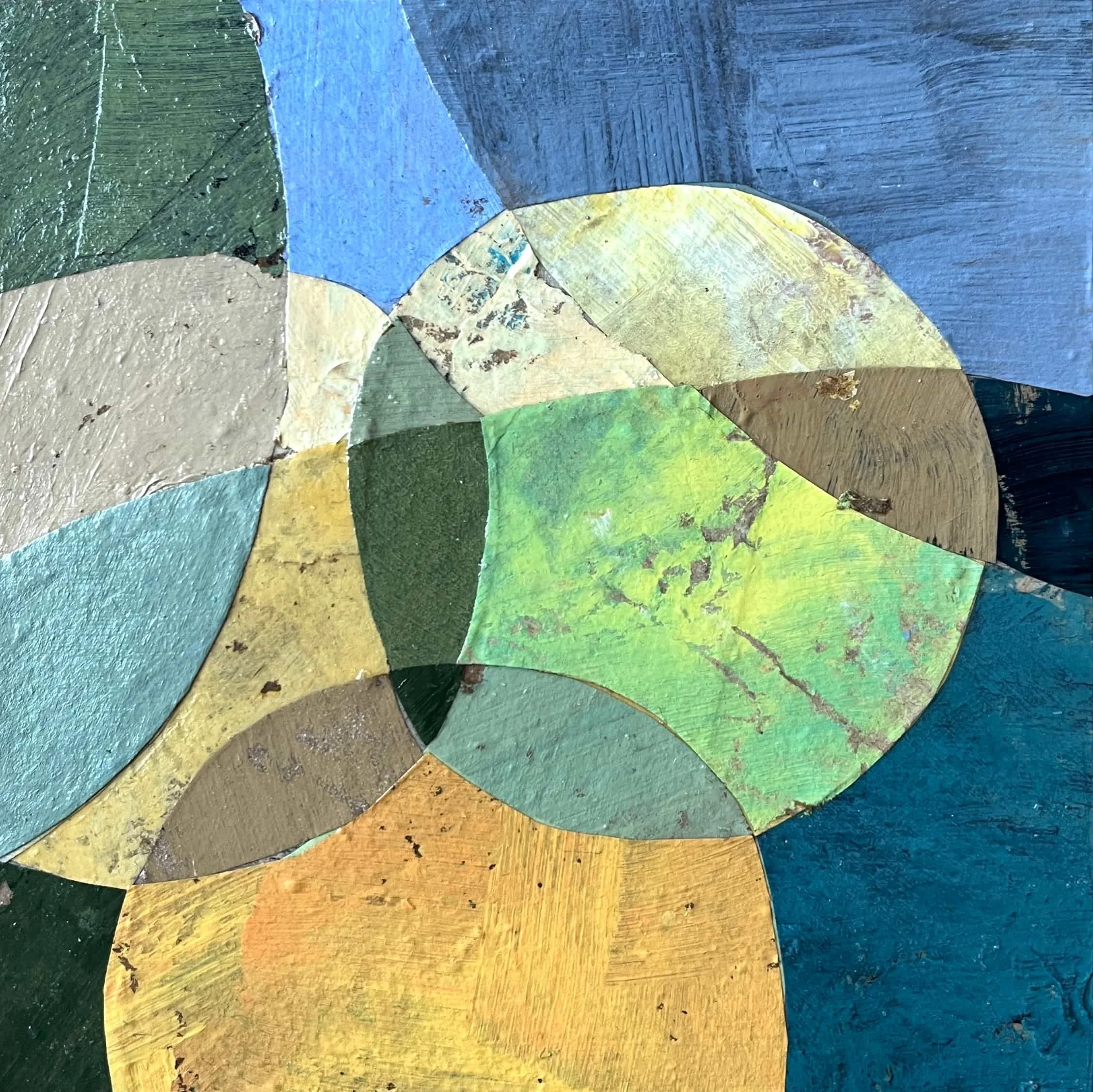 seeds of belonging 1 web.jpg