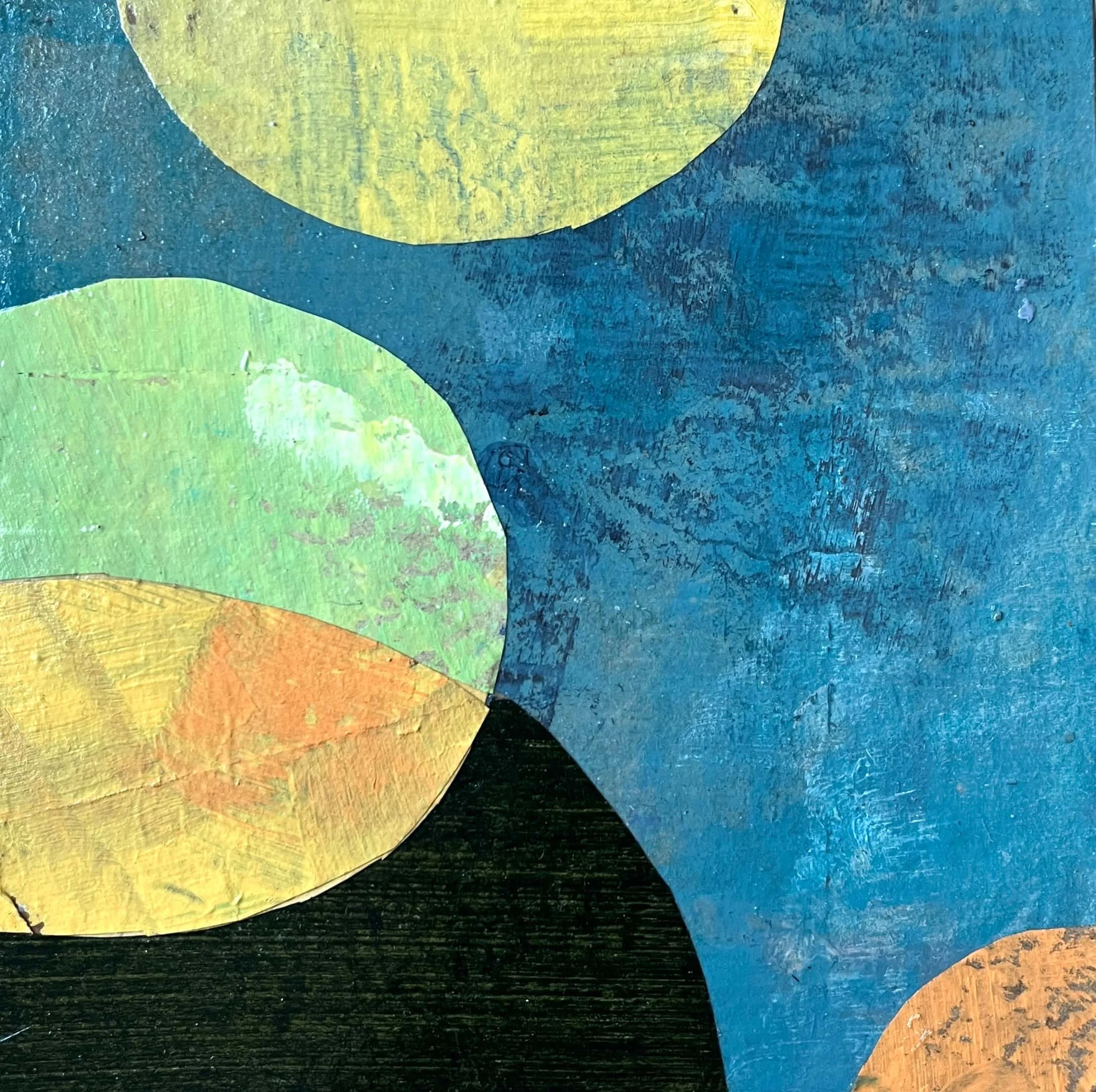 seeds of belonging 2 web.jpg