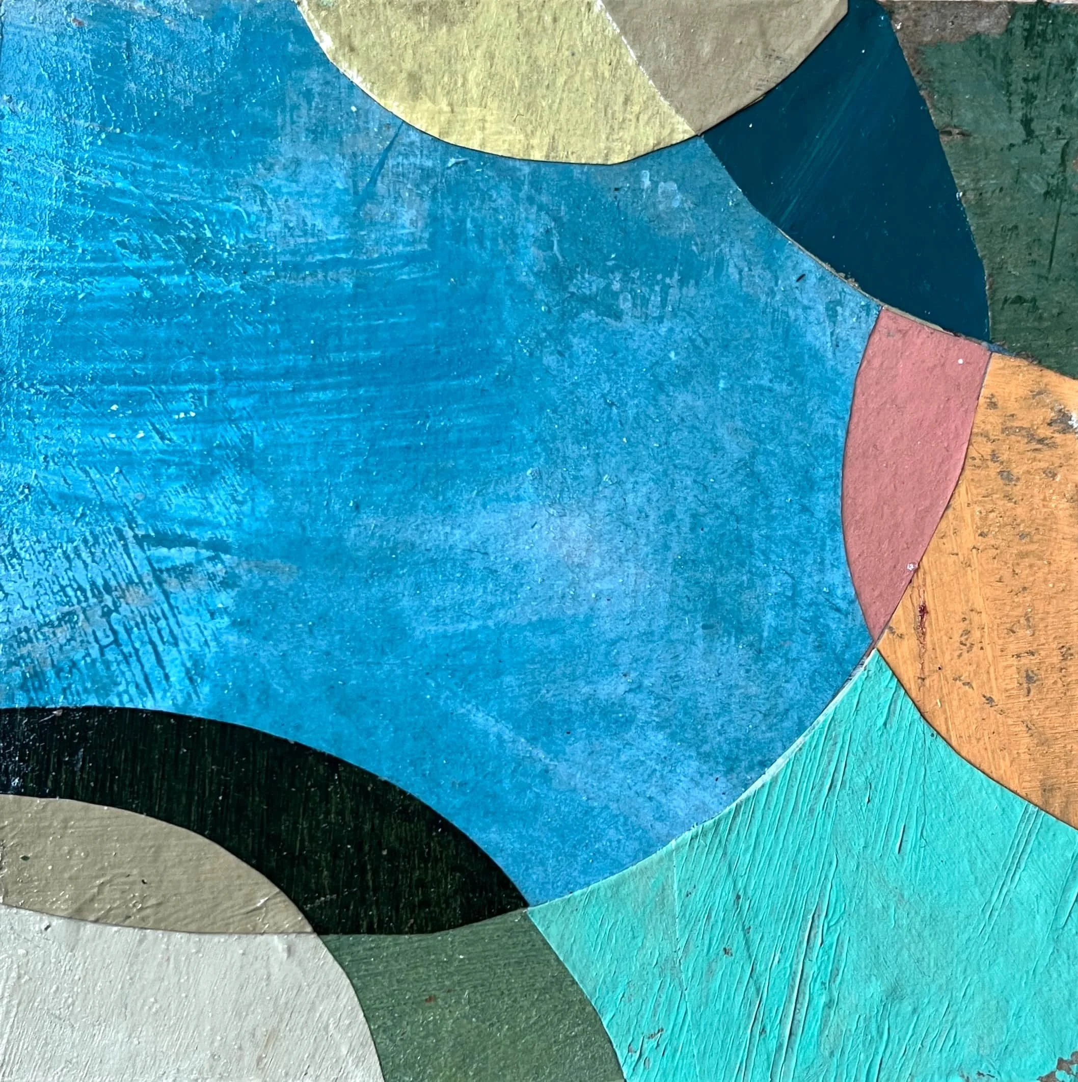 seeds of belonging 4 web.jpg