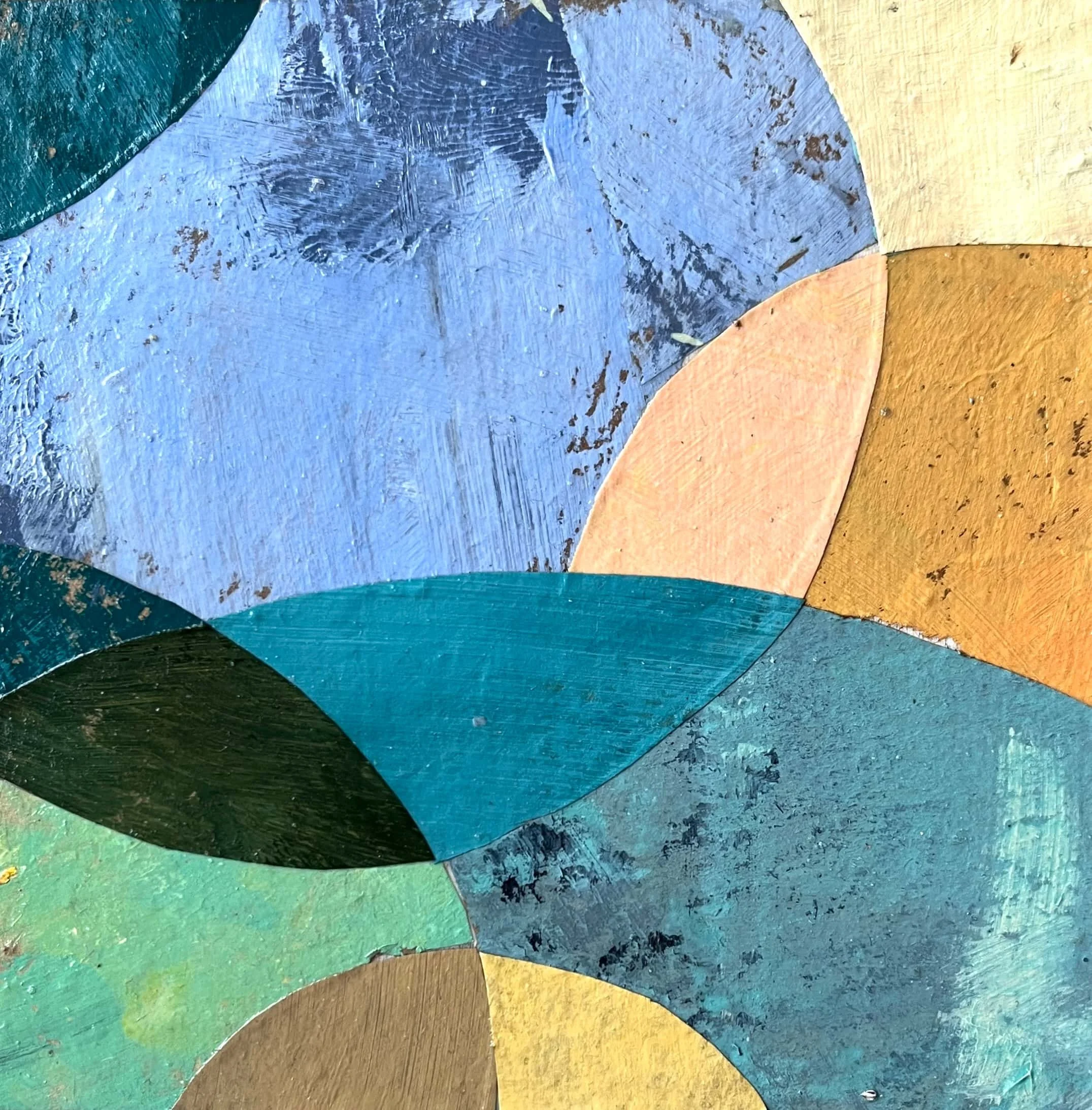 seeds of belonging 5 web.jpg