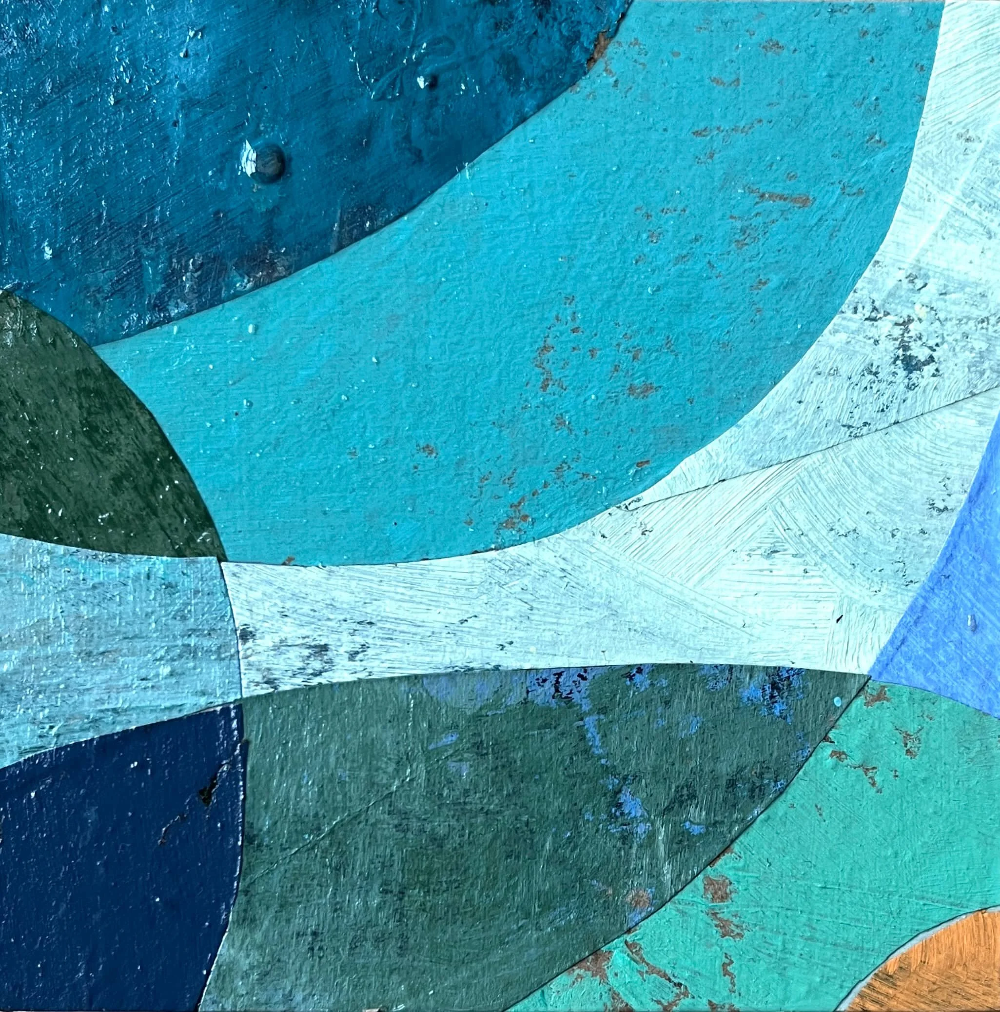seeds of belonging 6 web.jpg