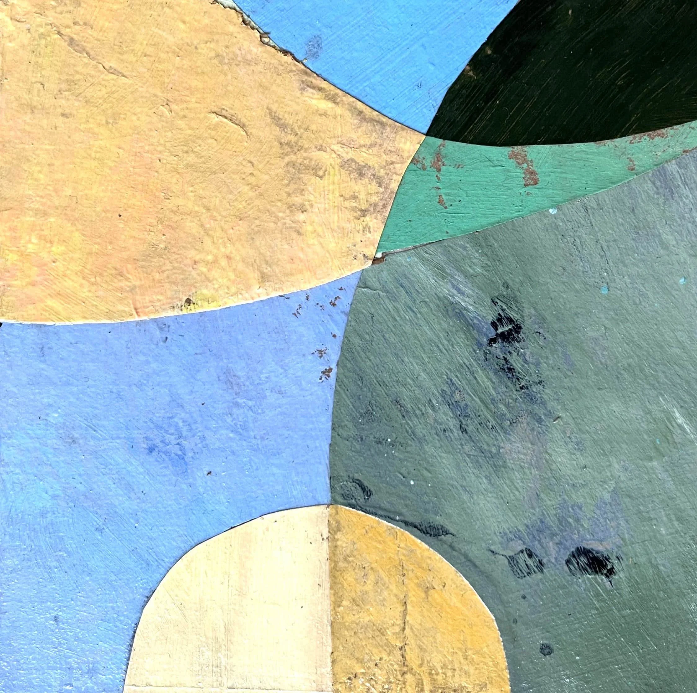 seeds of belonging 8.2.jpg