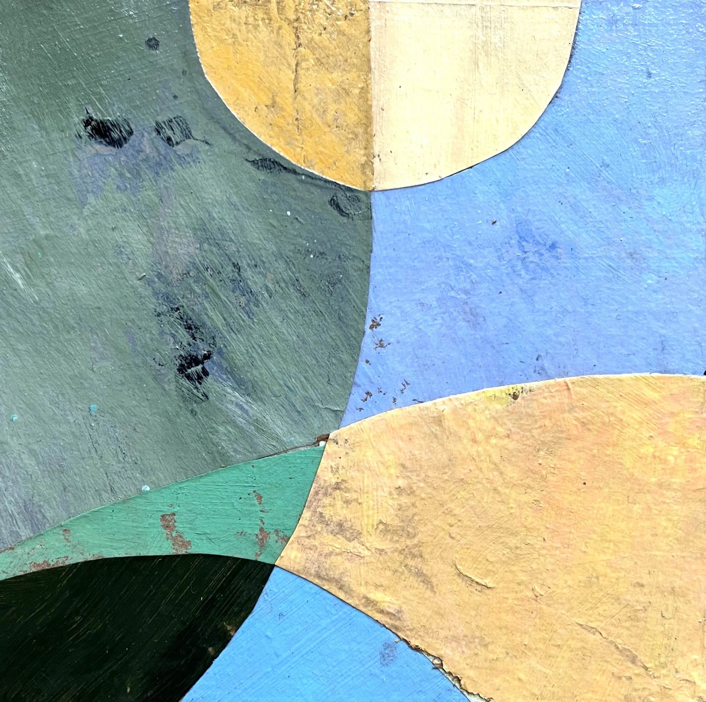 seeds of belonging 8.4.jpg