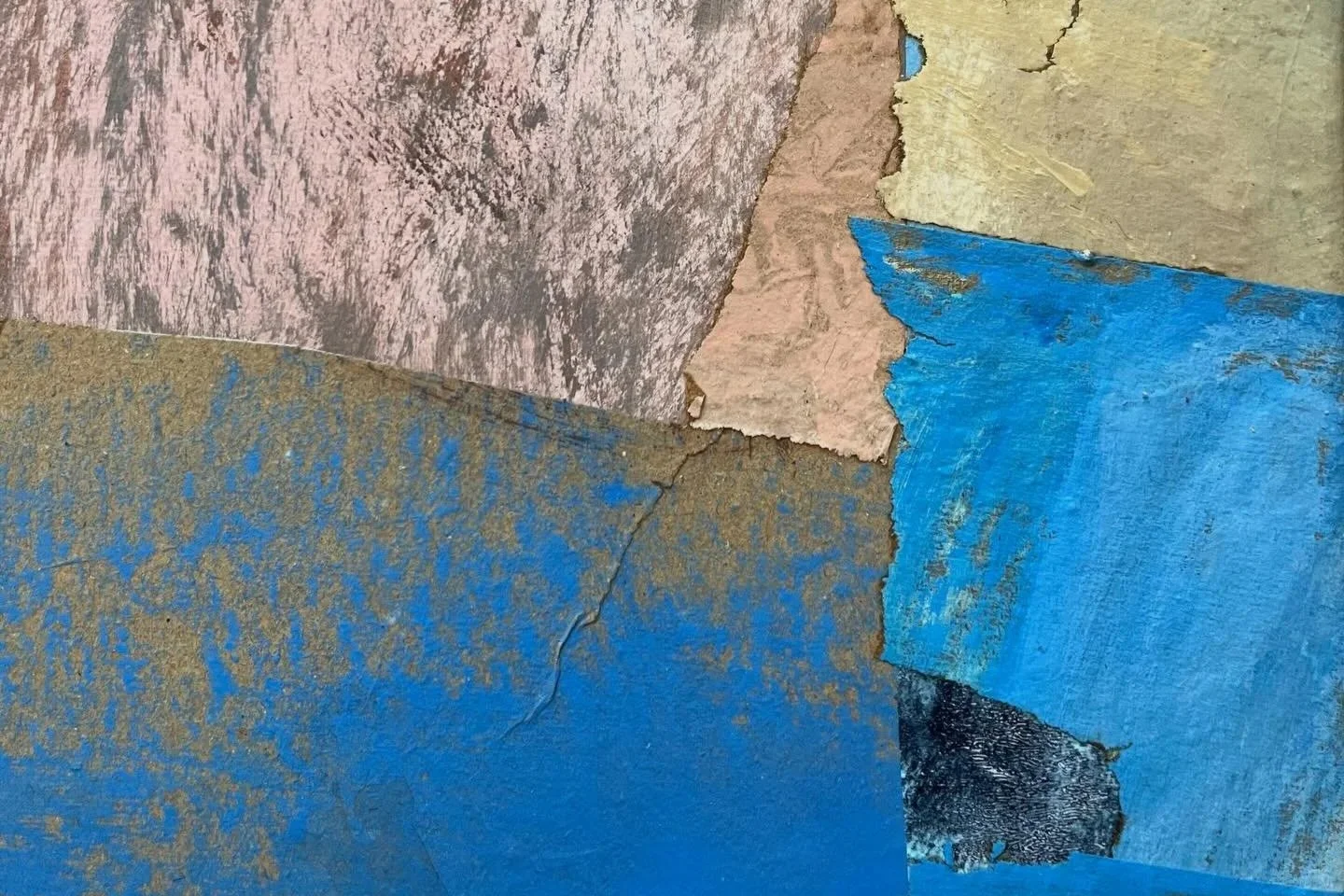 Reflections on belonging and place