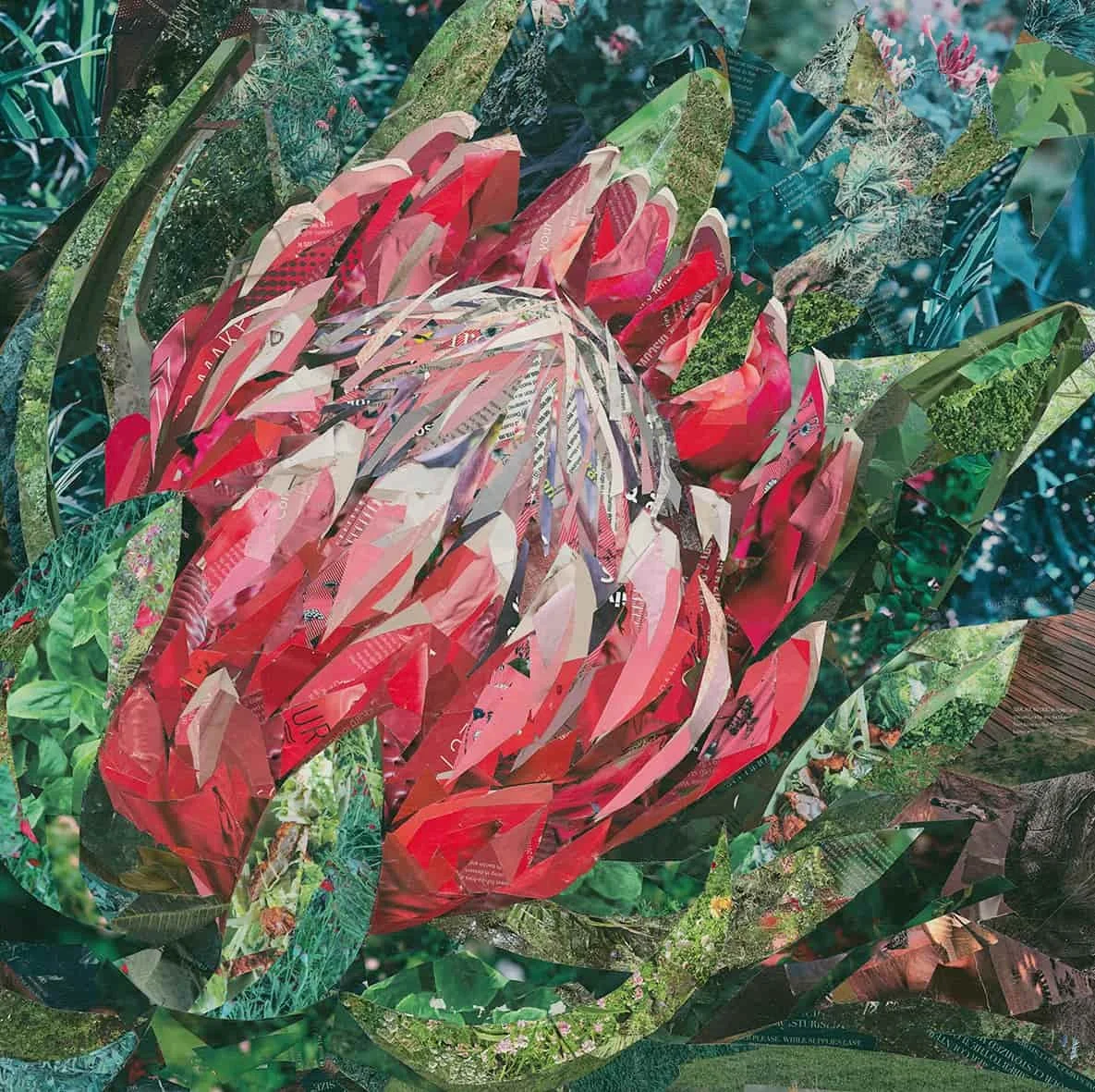 Paper Protea 3 (2020). Magazine Paper cuttings on wood panel. 60 x 60cm. SOLD.