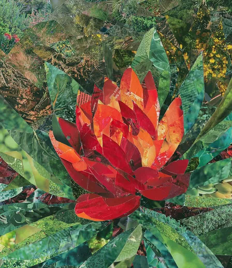 Paper Protea 1 (2020). Magazine Paper cuttings on wood panel. 40 x 45cm. SOLD.