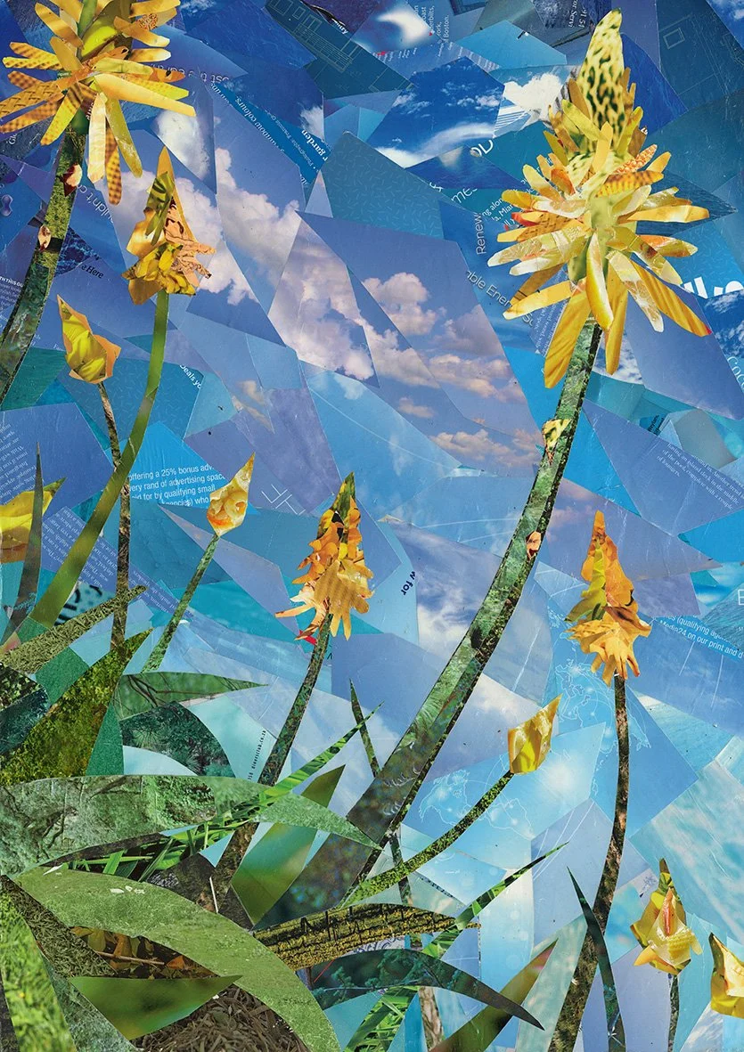 Yellow Aloes in the Wind (2021).. Magazine Paper cuttings on wood panel. 42 x 60cm. SOLD.