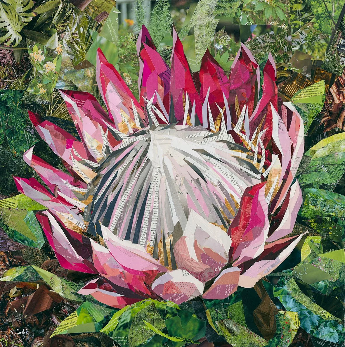 Paper Protea 1 (2020). Magazine Paper cuttings on wood panel. 60 x 60cm. SOLD.