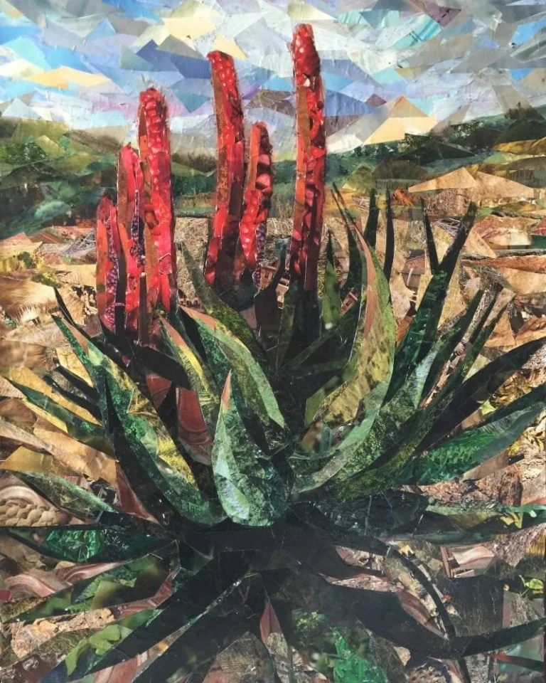 Aloe Landscape (2014). Magazine Paper cuttings on wood panel. 60 x 80cm. SOLD.