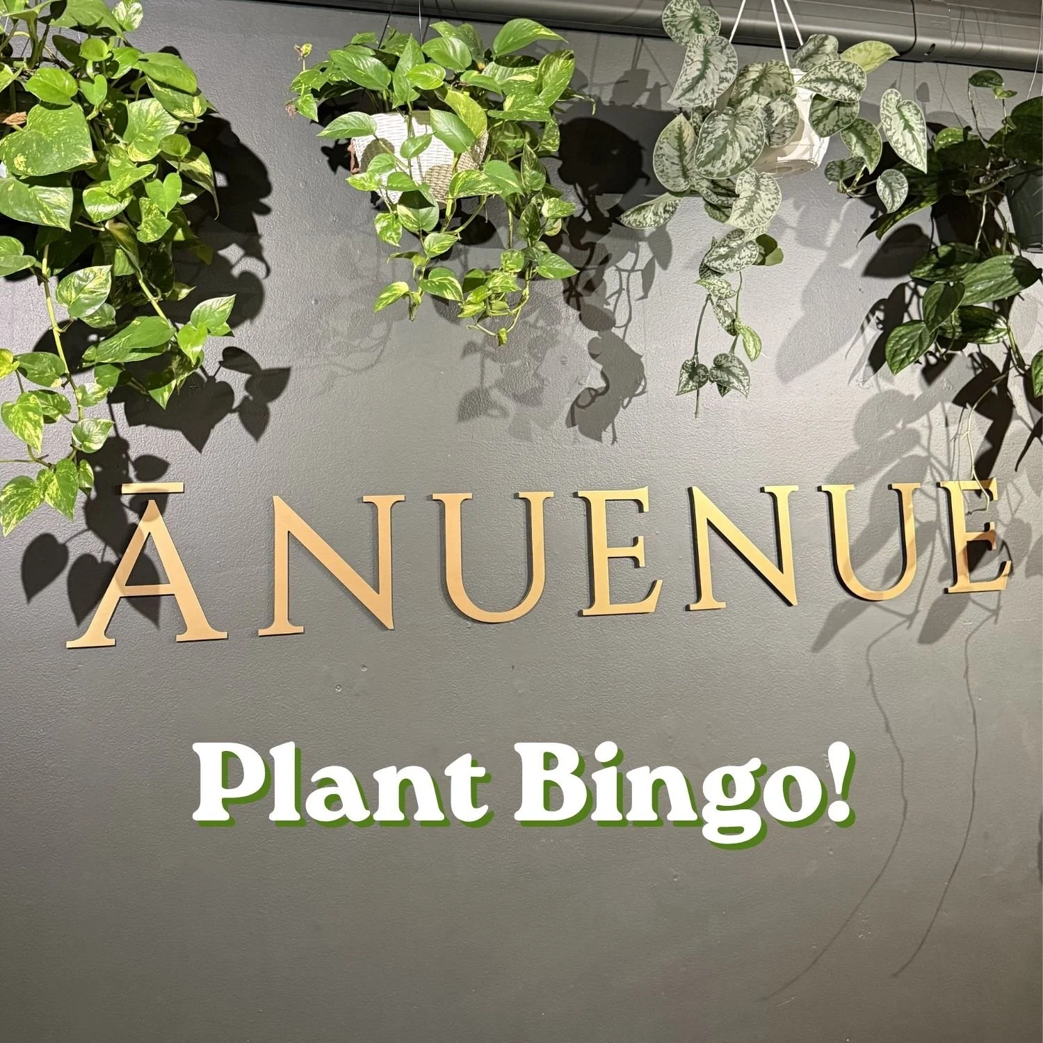 Plant Bingo