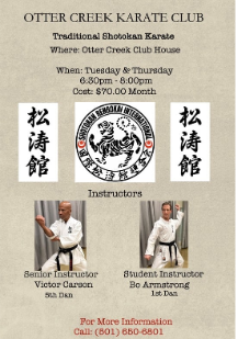 Otter Creek Karate Club flyer